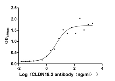 Claudin-18 Antibody (25E3)