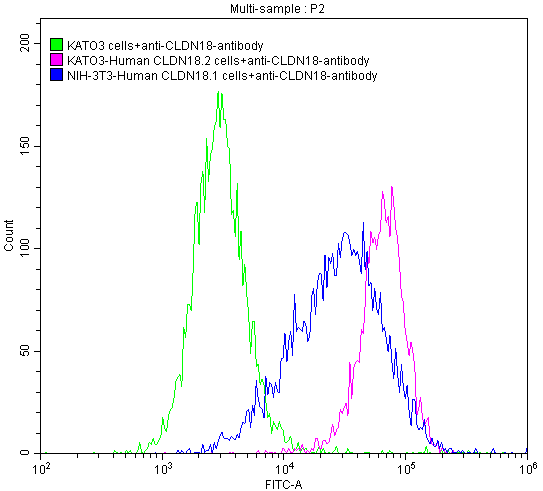 Claudin-18 Antibody (25E3)