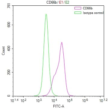 CEACAM8/CD66b Antibody (24H12)