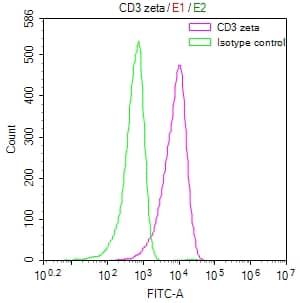 CD3 zeta Antibody (21H6)