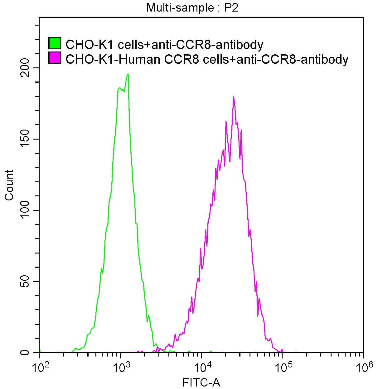 CCR8 Antibody (10A9)