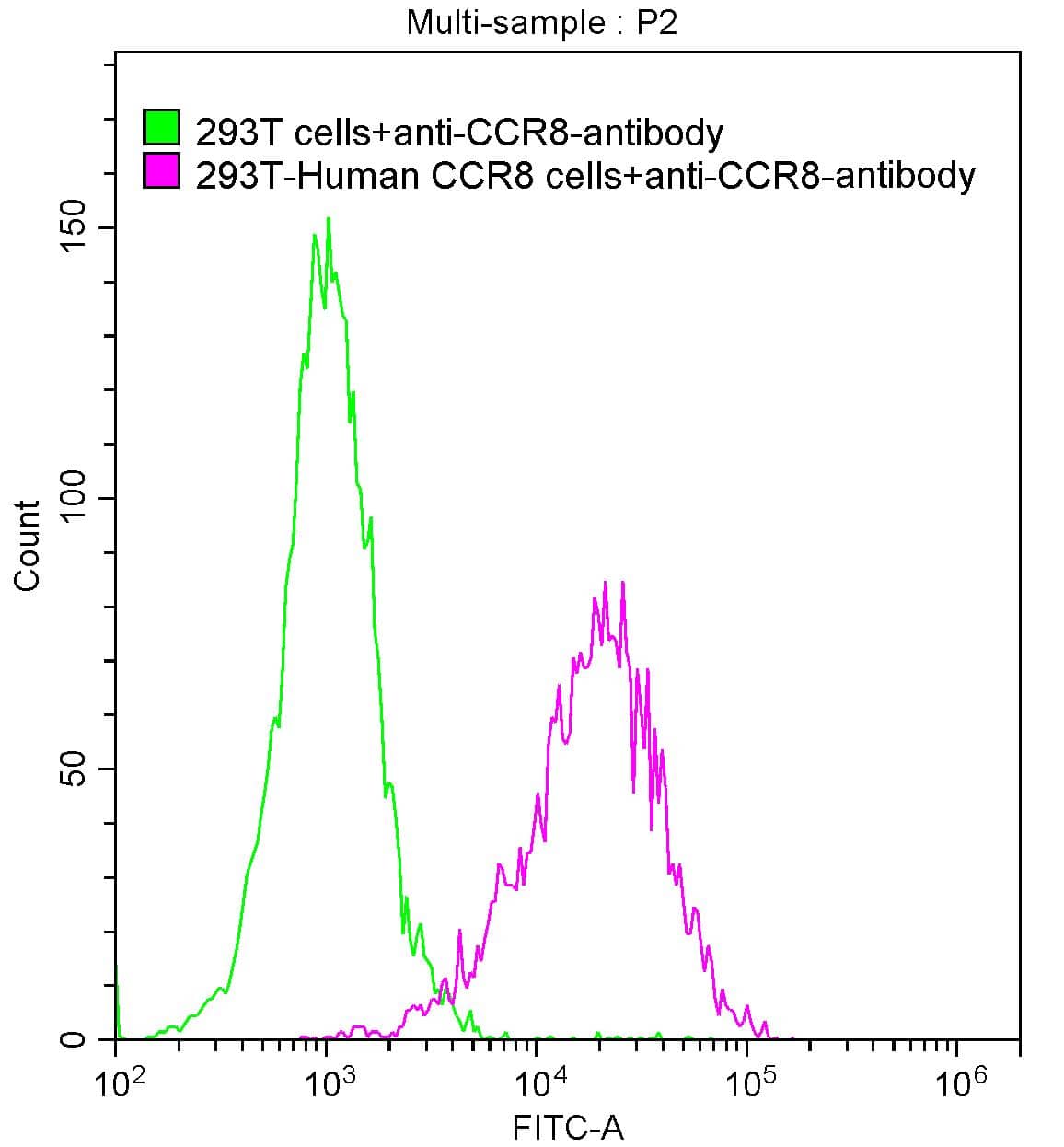 CCR8 Antibody (10A9)
