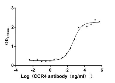 CCR4 Antibody (12F5)