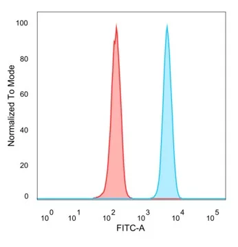 CBF2 Antibody (PCRP-CEBPZ-2D8)