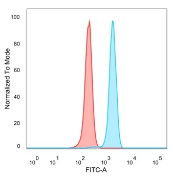 CEBP epsilon Antibody (PCRP-CEBPE-1G12)