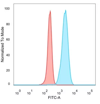 IMP2/IGF2BP2 Antibody (PCRP-IGF2BP2-1F9)