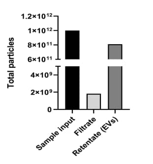 Tangential Flow Filtration (TFF)-Large EV Isolation
