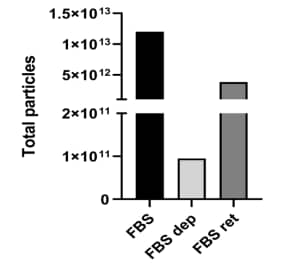 Tangential Flow Filtration (TFF)-Large EV Isolation