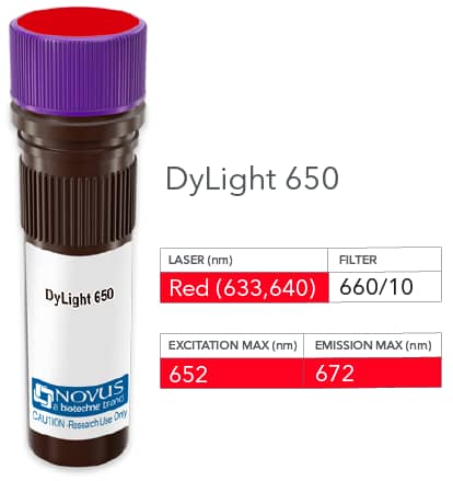 SNW1 Antibody (PCRP-SNW1-1C12) [DyLight 650]