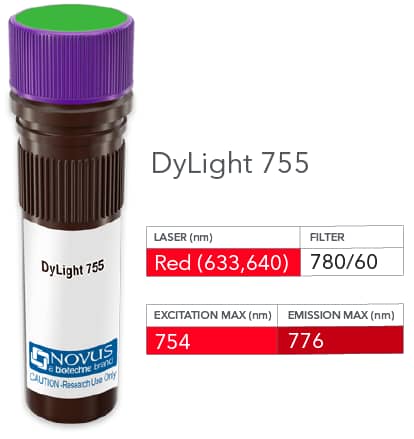 SNW1 Antibody (PCRP-SNW1-1C12) [DyLight 755]