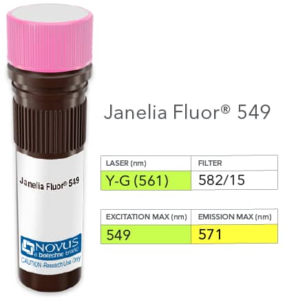 SNW1 Antibody (PCRP-SNW1-1C12) [Janelia Fluor® 549]