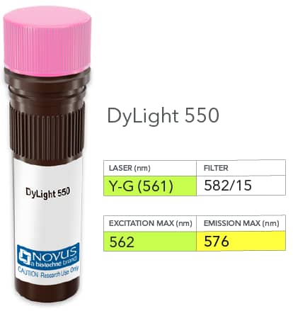 SNW1 Antibody (PCRP-SNW1-1C12) [DyLight 550]