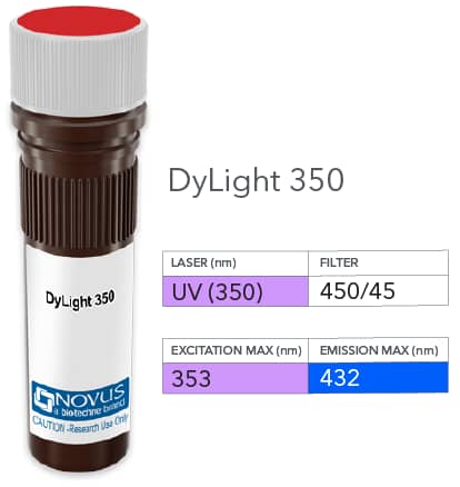 SNW1 Antibody (PCRP-SNW1-2A1) [DyLight 350]