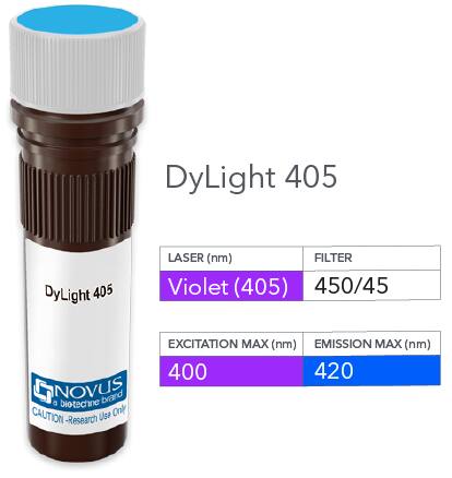 LRH-1/NR5A2 Antibody (PCRP-NR5A2-1B8) [DyLight 405]