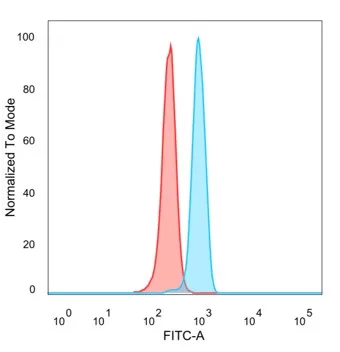 Mineralocorticoid R/NR3C2 Antibody (PCRP-NR3C2-1E3)