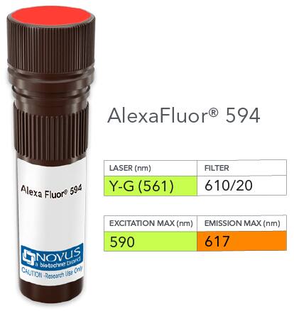 SATB1 Antibody (PCRP-SATB1-2C3) [Alexa Fluor® 594]