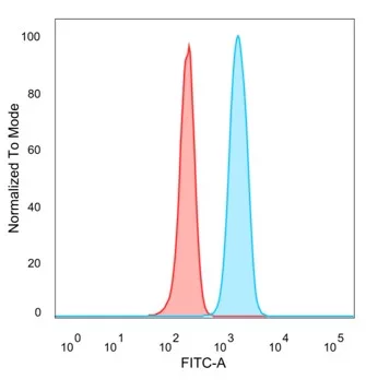 SMCX Antibody (PCRP-KDM5C-1A11)