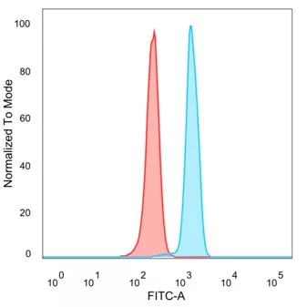 FoxP4 Antibody (PCRP-FOXP4-1A10)