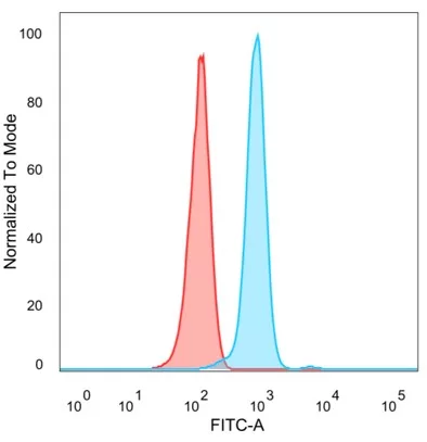 FoxP4 Antibody (PCRP-FOXP4-1G7)