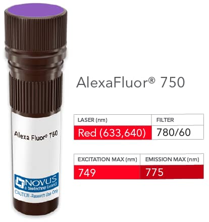 FoxP4 Antibody (PCRP-FOXP4-1G7) [Alexa Fluor® 750]