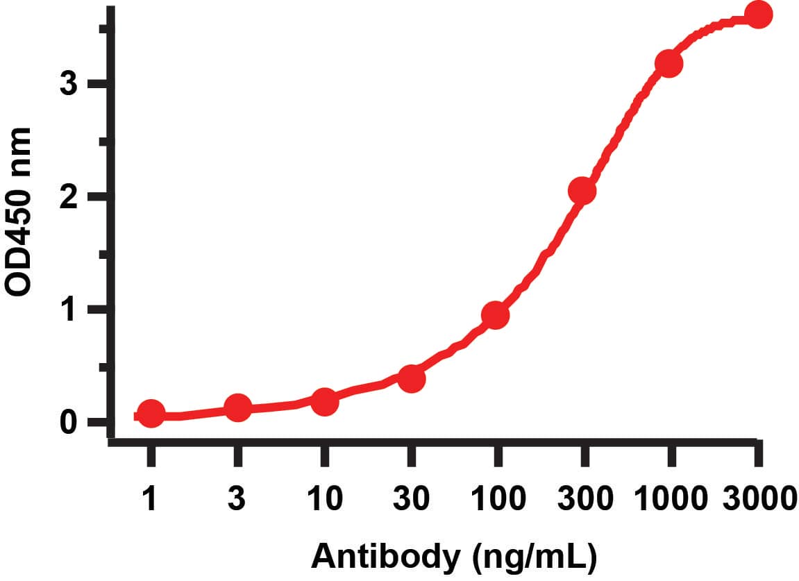SARS-CoV-2 pp1ab polyprotein Antibody