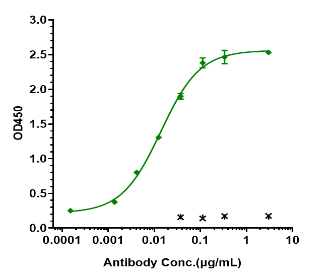 ErbB2/Her2 Antibody (pertuzumab) - Humanized