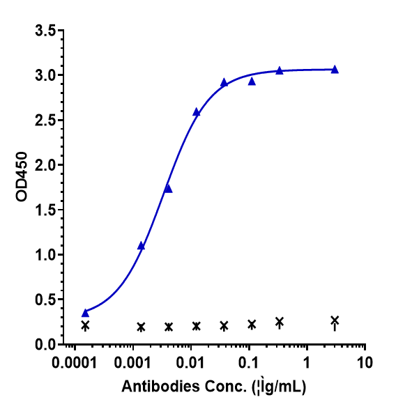 IFN-gamma Antibody (AMG 811)