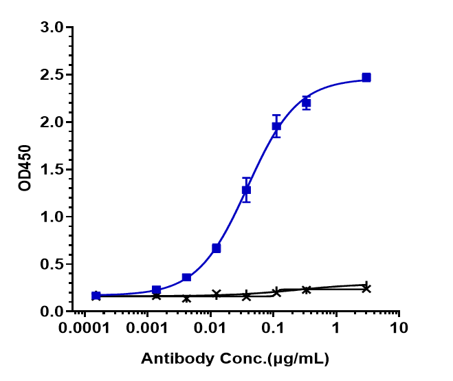 Lysyl Oxidase Homolog 2/LOXL2 Antibody (simtuzumab) - Humanized