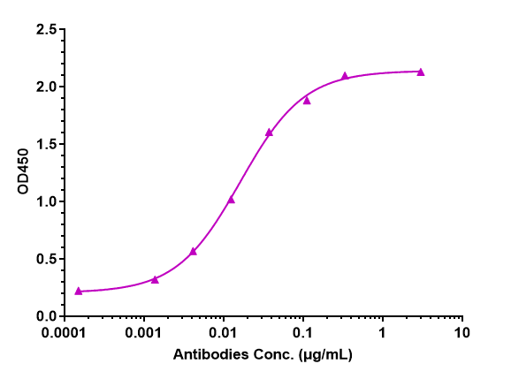 Mrc2 Antibody (Copenhagen Rigshospitalet patent anti-uPARAP) - Humanized