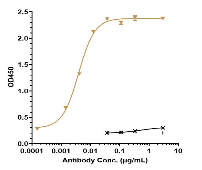 PD-1 Antibody (pembrolizumab) - Humanized, IgG4SP