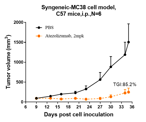 PD-L1 Antibody (atezolizumab)