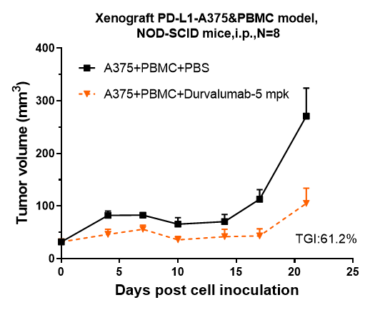 PD-L1 Antibody (durvalumab)
