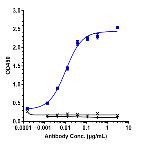 TfR (Transferrin R) Antibody (Jr-141) - Humanized