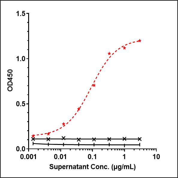 CD19 Antibody (tafasitamab) - Humanized