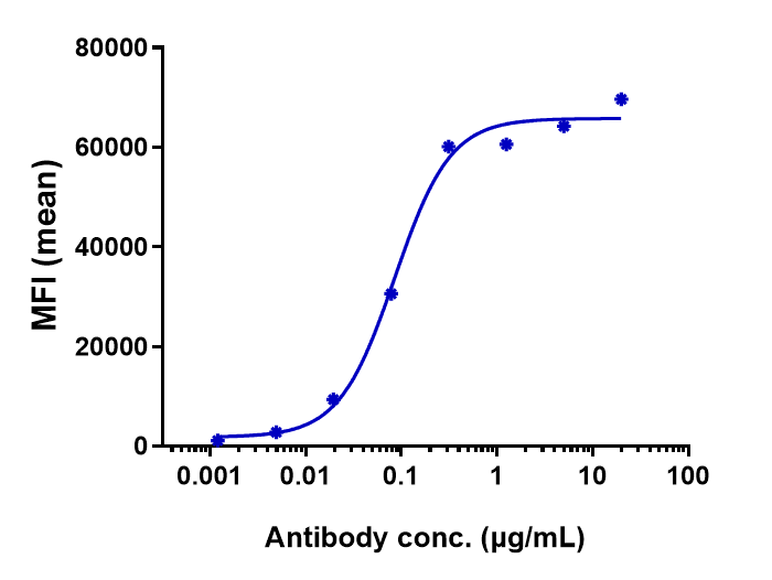 CD19 Antibody (tafasitamab) - Humanized