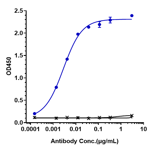 ROR1 Antibody (zilovertamab) - Humanized