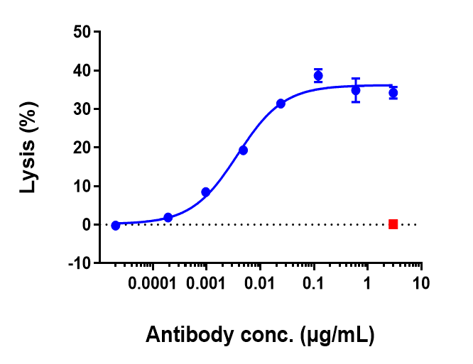 CD20 Antibody (rituximab) - Humanized