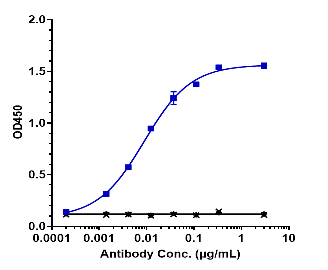 ErbB3/Her3 Antibody (barecetamab)