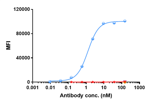 CD38 Antibody (daratumumab)