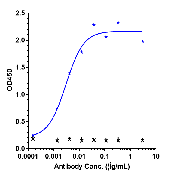 VEGF Antibody (bevacizumab) - Humanized