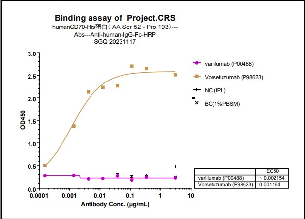 CD27 Ligand/TNFSF7/CD70 Antibody (vorsetuzumab) - Humanized