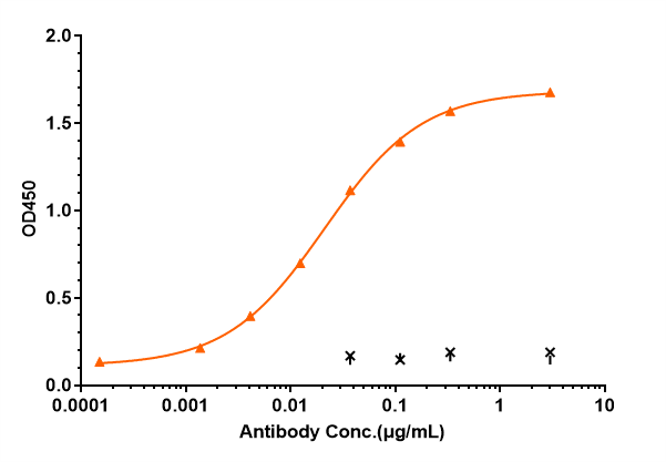 C1q Antibody (ANX005) - Humanized