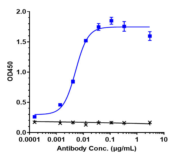 Activin RIIB Antibody (bimagrumab)