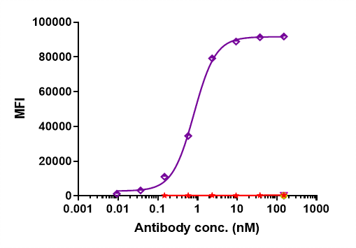 CD38 Antibody (isatuximab) - Humanized