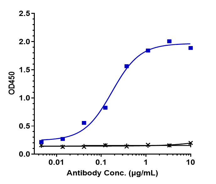 CXCR3 Antibody (Genzyme patent anti-CXCR3) - Humanized