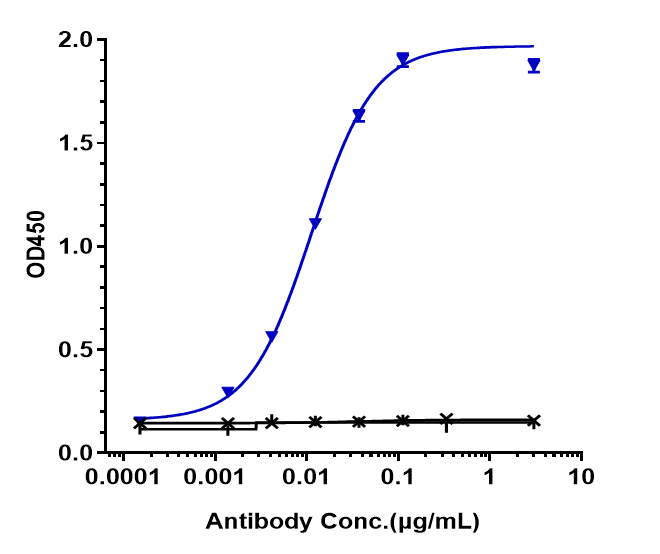 FOLR1 Antibody (mirvetuximab) - Humanized