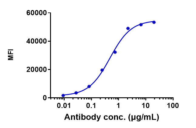 CD20 Antibody (ocrelizumab) - Humanized