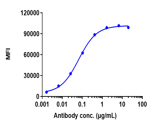 CD20 Antibody (ofatumumab)