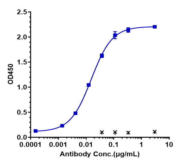 Axl Antibody (tilvestamab) - Humanized