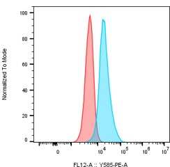 Axl Antibody - Humanized, (Research Grade tilvestamab Biosimilar) - Low Endotoxin, Azide and BSA Free